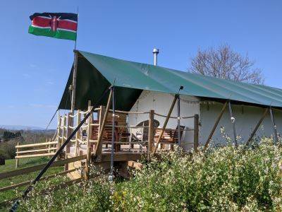 Serene and Tranquil Hakuna Matata Safari Lodge