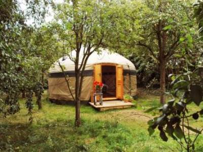 Orchard Yurt with Hot Tub