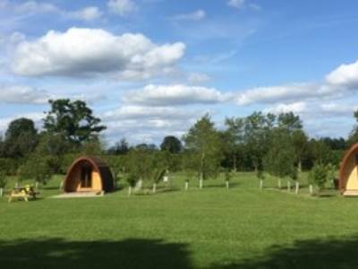 The Alders Family Glamping Pods
