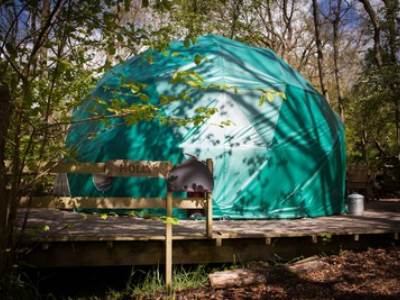 Holly Dome Glamping at Cosy Under Canvas
