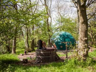 Oak Dome Glamping at Cosy Under Canvas