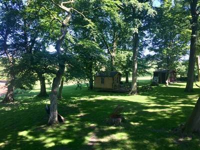 Oak & Elm (double) cabins at Dale Farm Holidays